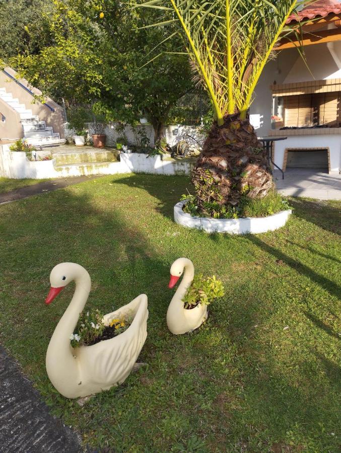 Mιχαλης Apartments Paramythía Exterior foto